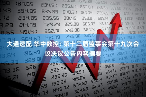 大通速配 华中数控: 第十二届监事会第十九次会议决议公告内容摘要
