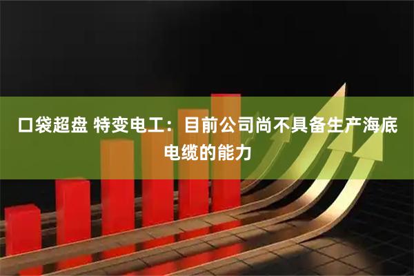 口袋超盘 特变电工：目前公司尚不具备生产海底电缆的能力