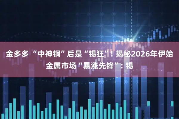 金多多 “中神铜”后是“锡狂”! 揭秘2026年伊始金属市场“暴涨先锋”: 锡