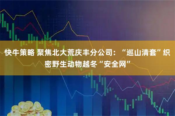 快牛策略 聚焦北大荒庆丰分公司：“巡山清套”织密野生动物越冬“安全网”
