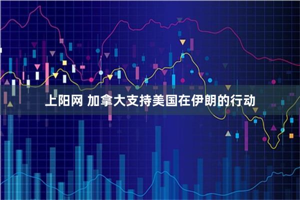上阳网 加拿大支持美国在伊朗的行动