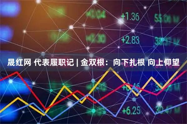 晟红网 代表履职记 | 金双根：向下扎根 向上仰望